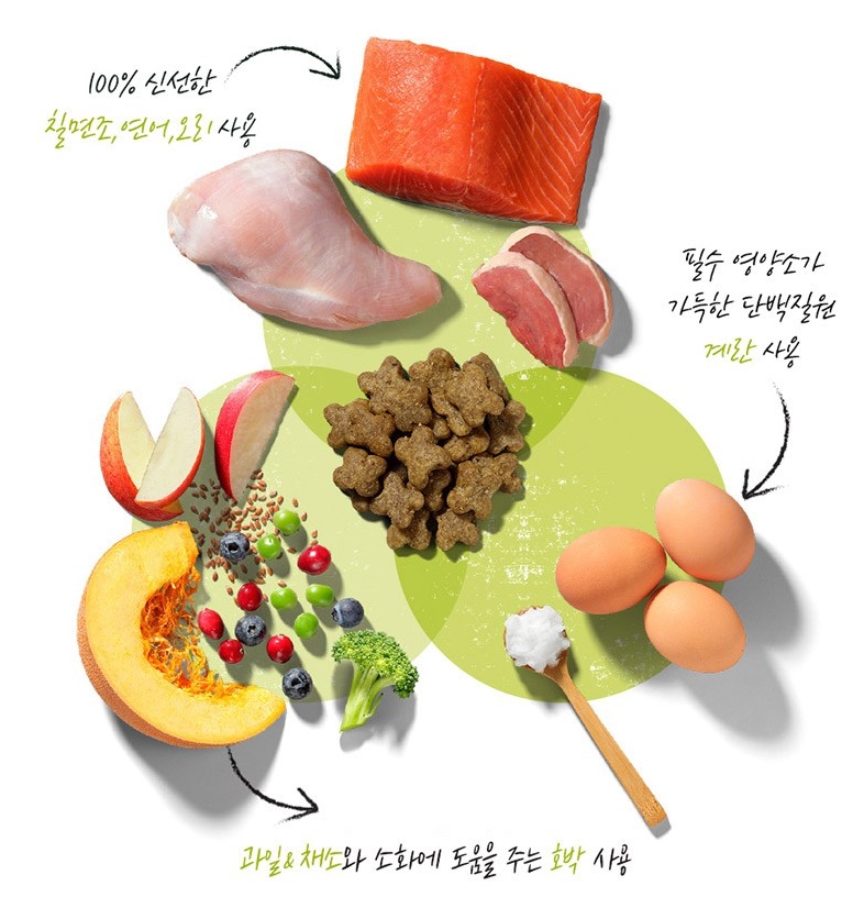 나우프레쉬 그레인프리 스몰브리드 어덜트 강아지 사료 2kg