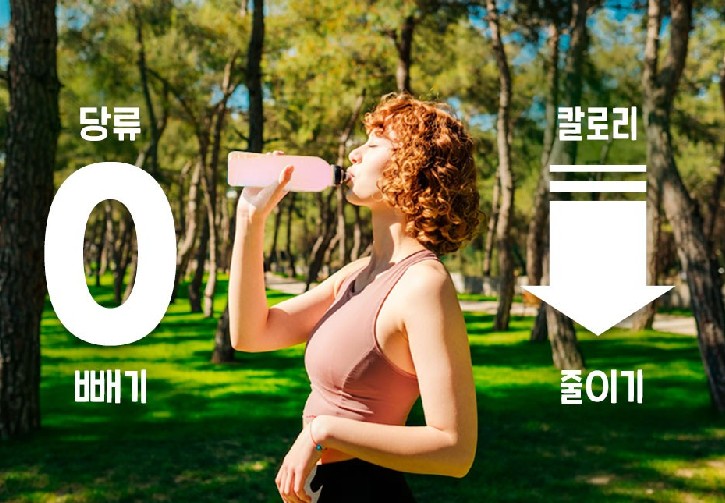티젠 콤부차 레몬 5g*50개입 효능